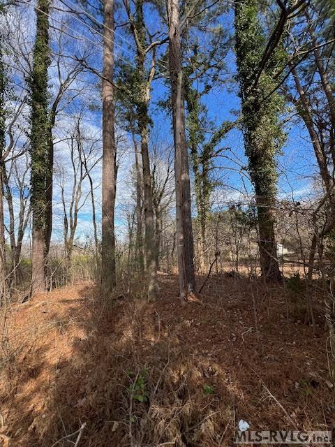 Residential/Vacation at 19610 Christanna Hwy, Lawrenceville VA 23868, photo 44 of 46