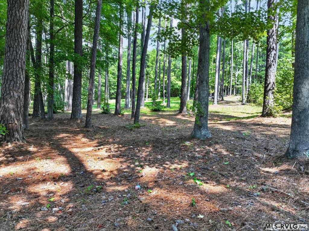 Residential Lot-Restricted at Lot 33 Old Ferry Road, Littleton NC 27850, photo 32 of 36