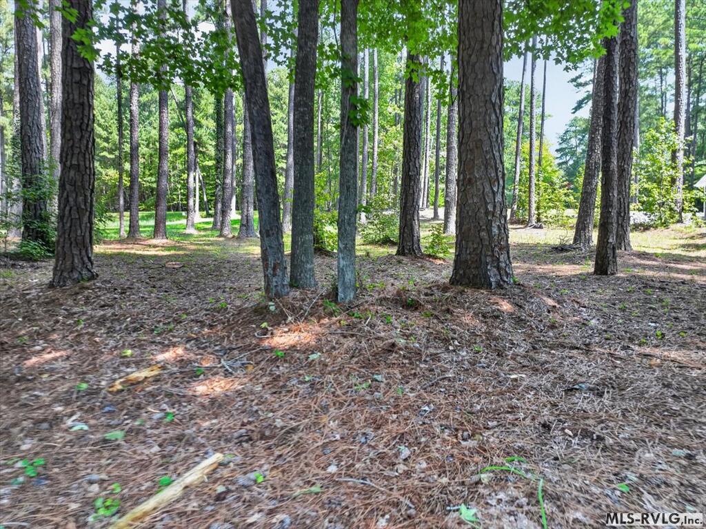 Residential Lot-Restricted at Lot 33 Old Ferry Road, Littleton NC 27850, photo 35 of 36