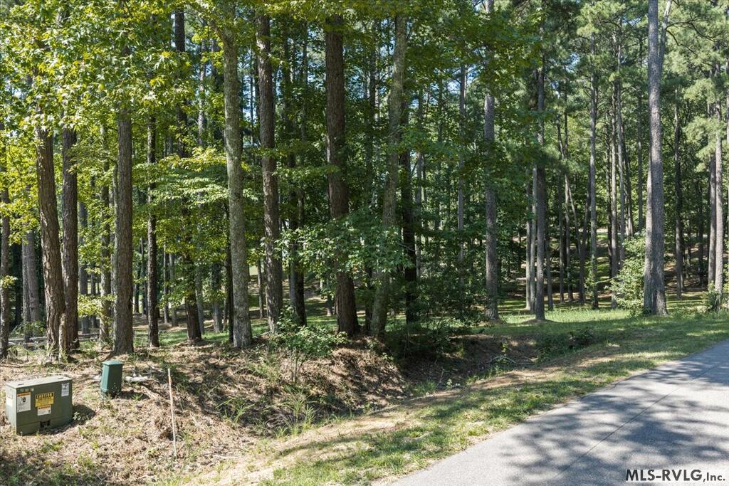 Residential Lot-Restricted at Lot 33 Old Ferry Road, Littleton NC 27850, photo 5 of 36