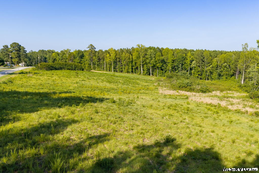 Acreage at 2.36 Ac Oak Road, Brodnax VA 23920, photo 15 of 24