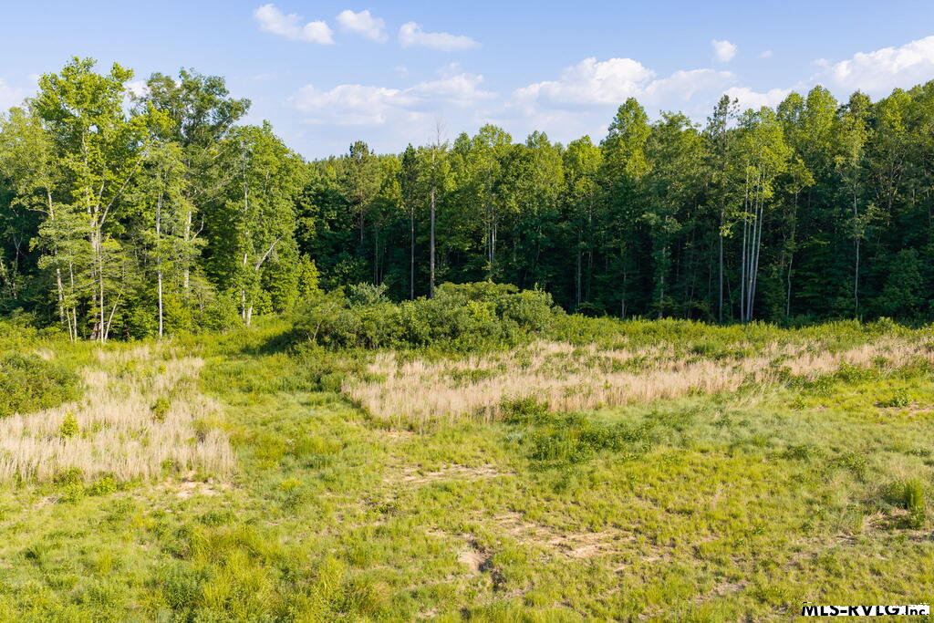 Acreage at 2.36 Ac Oak Road, Brodnax VA 23920, photo 20 of 24