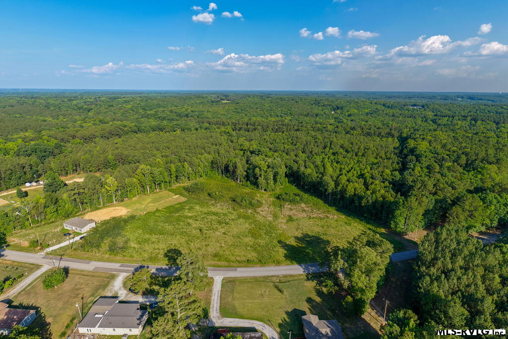 Acreage at 2.36 Ac Oak Road, Brodnax VA 23920, photo 23 of 24