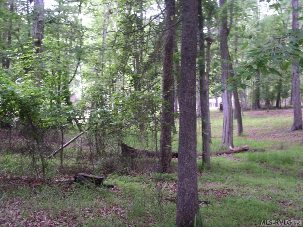 Residential Lot-Restricted at 105 Oak Run, Clarksville VA 23927, photo 2 of 13