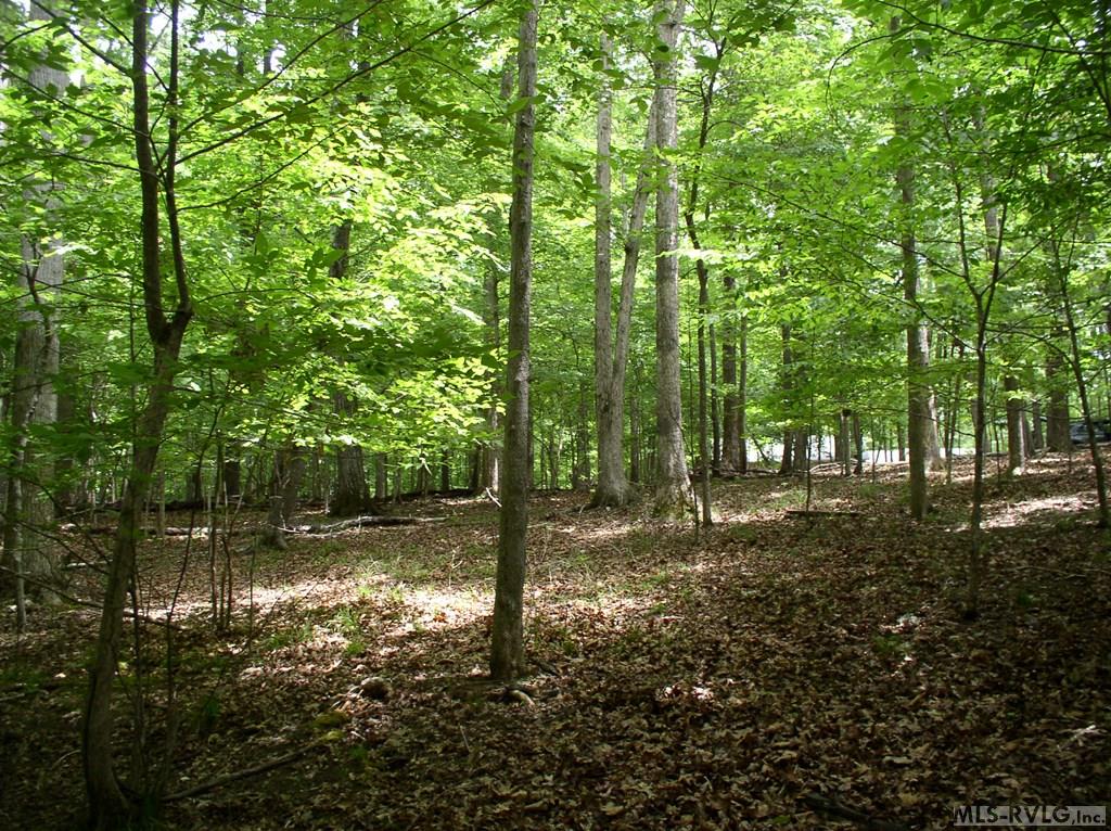 Residential Lot-Restricted at 105 Oak Run, Clarksville VA 23927, photo 5 of 13