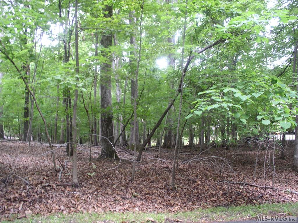 Residential Lot-Restricted at 105 Oak Run, Clarksville VA 23927, photo 6 of 13