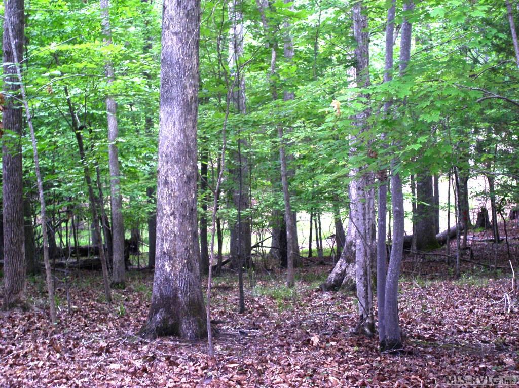 Residential Lot-Restricted at 105 Oak Run, Clarksville VA 23927, photo 7 of 13