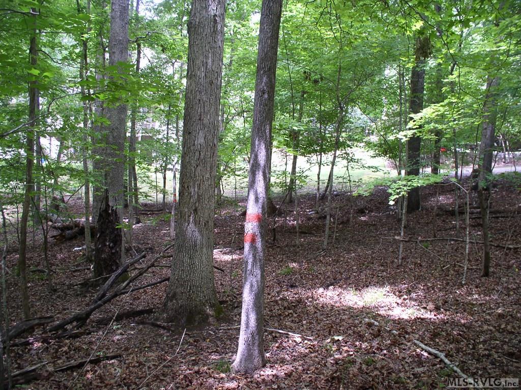 Residential Lot-Restricted at 105 Oak Run, Clarksville VA 23927, photo 8 of 13