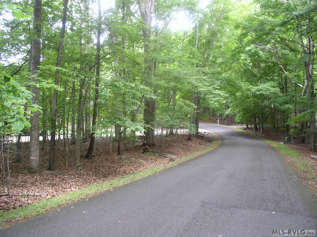 Residential Lot-Restricted at 105 Oak Run, Clarksville VA 23927, photo 9 of 13