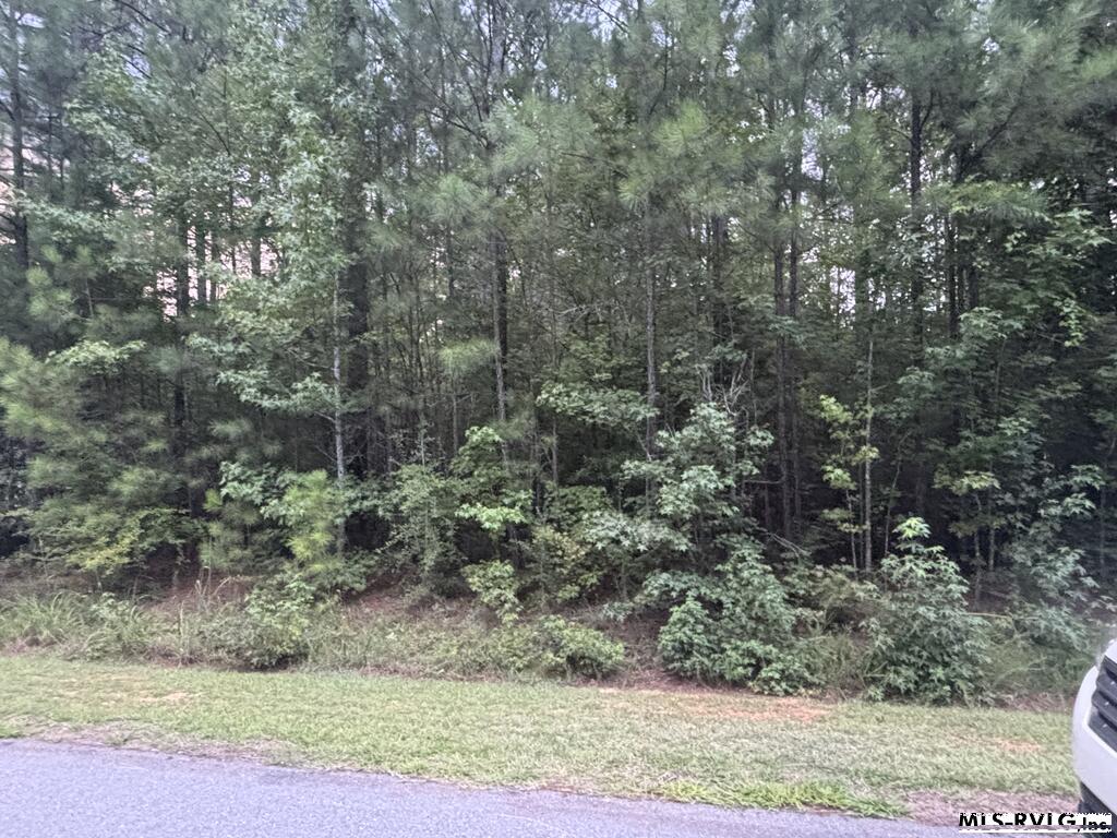 Residential Lot-Restricted at Lot # 8 Halyard Drive, Roanoke Rapids NC 27870, photo 8 of 12