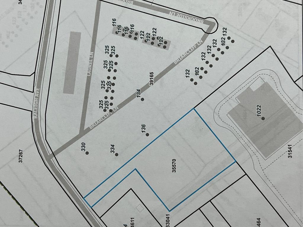 Parcel shown in blue , Left of the Food Lion Building (shaded) - 0 Highway 47, South Hill VA 23970