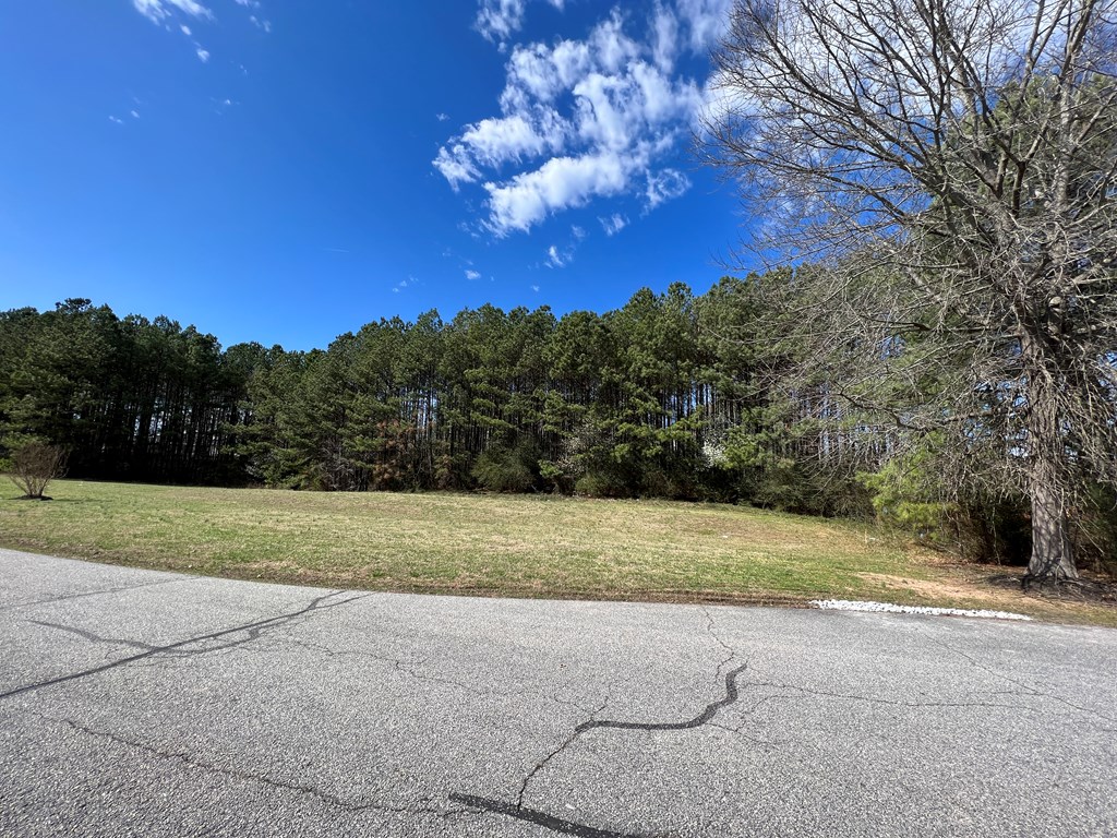 View across lot - 0 Highway 47, South Hill VA 23970