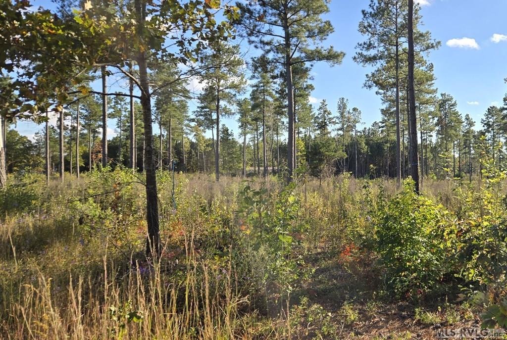 Lot 5 Christanna Hwy, Lawrenceville VA 23868