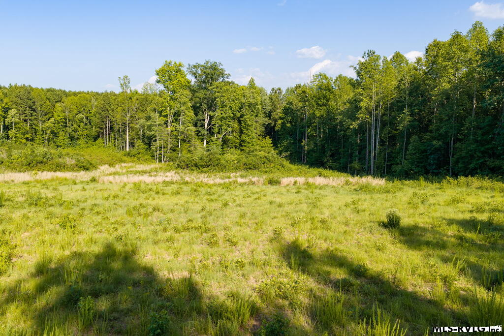 Acreage at Lot 3 Oak Road, Brodnax VA 23920, photo 16 of 24