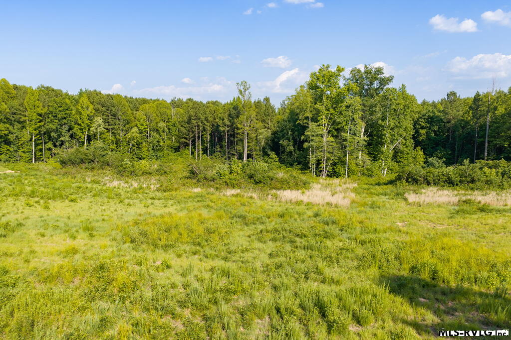 Acreage at Lot 3 Oak Road, Brodnax VA 23920, photo 18 of 24