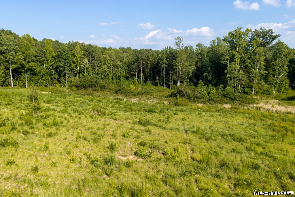 Acreage at Lot 3 Oak Road, Brodnax VA 23920, photo 19 of 24
