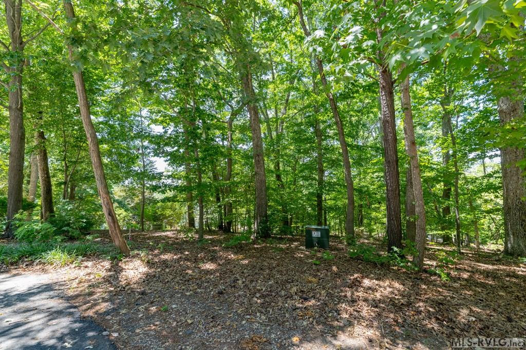 Residential Lot-Restricted at TBD Country Road, Littleton NC 27850, photo 13 of 13