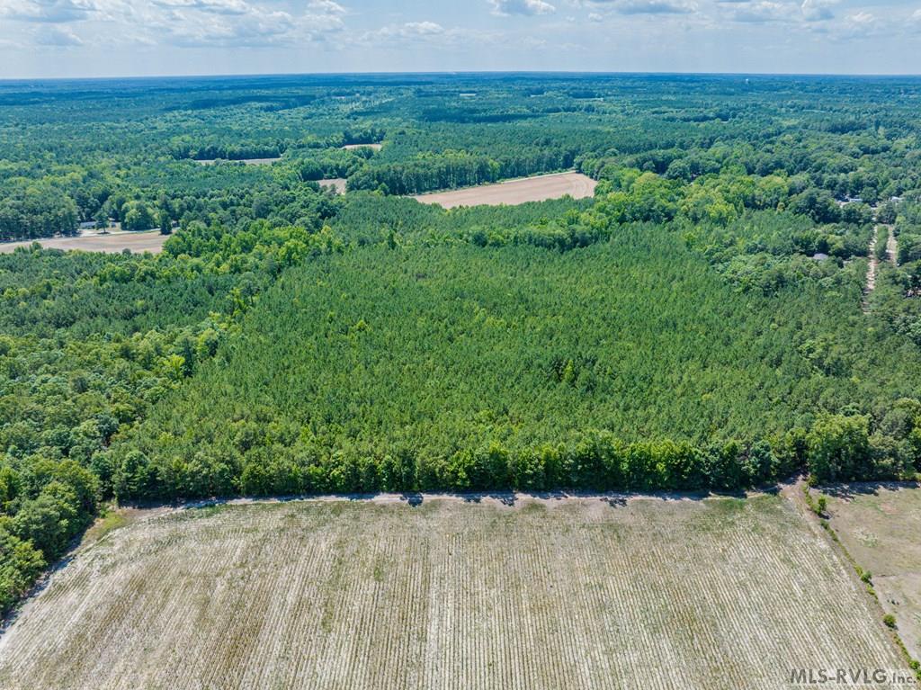 Acreage at 27 Justice Branch Road, Littleton NC 27850, photo 11 of 34
