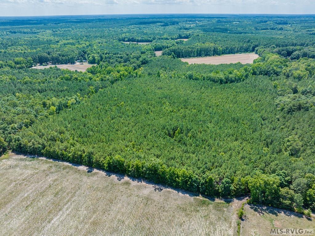 Acreage at 27 Justice Branch Road, Littleton NC 27850, photo 12 of 34