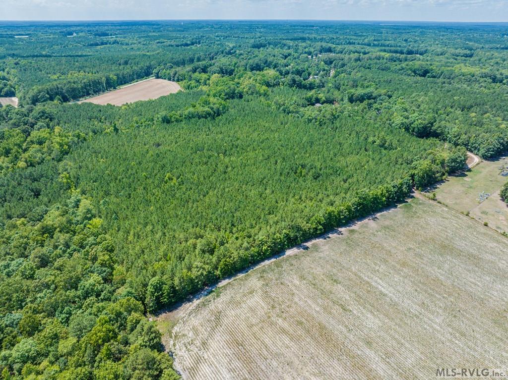 Acreage at 27 Justice Branch Road, Littleton NC 27850, photo 13 of 34