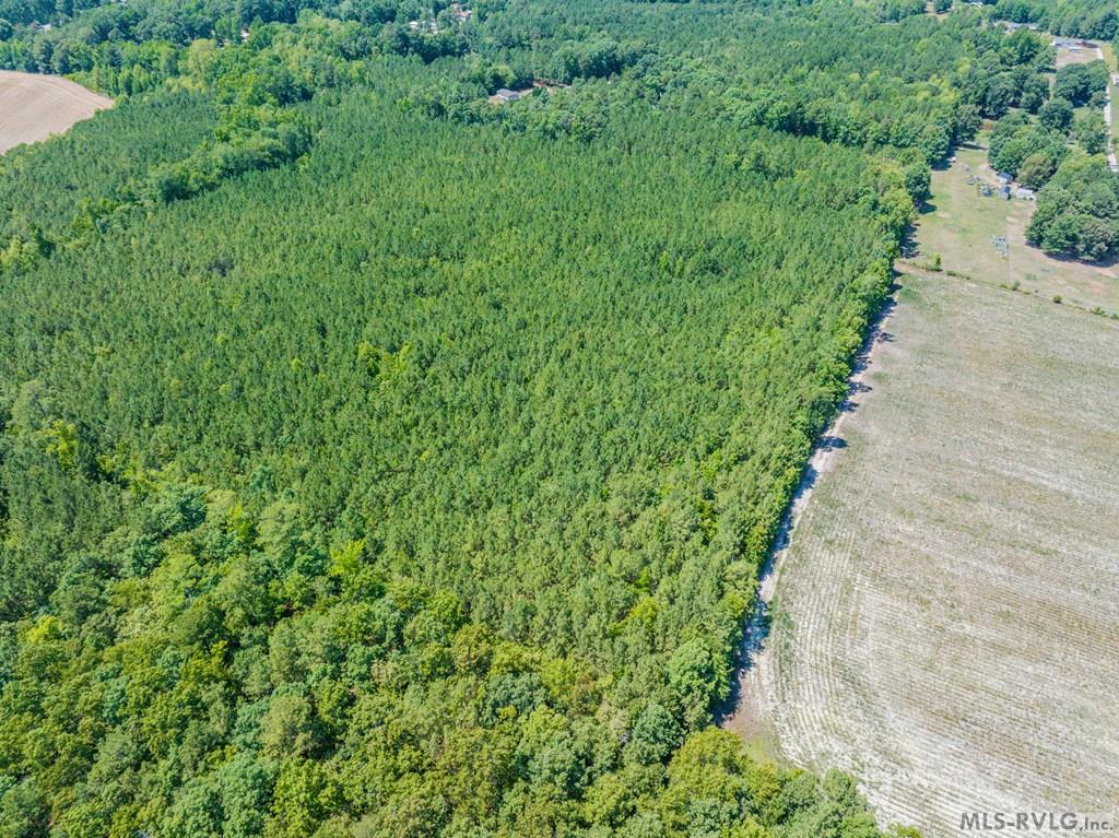 Acreage at 27 Justice Branch Road, Littleton NC 27850, photo 15 of 34