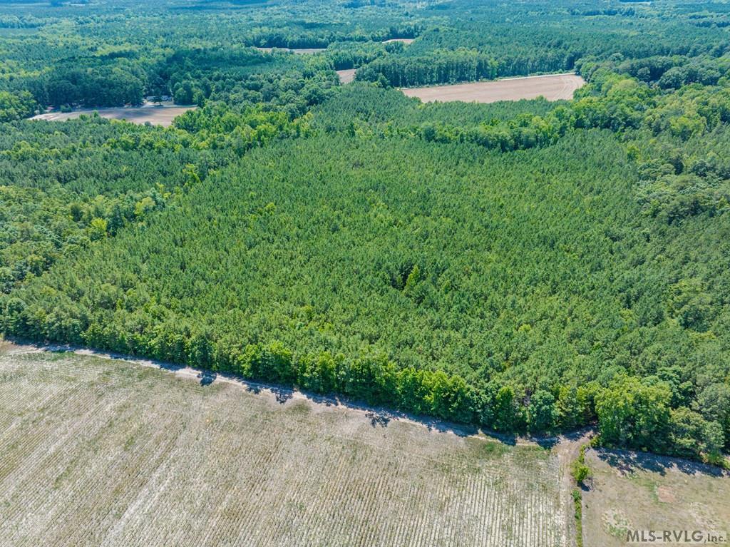 Acreage at 27 Justice Branch Road, Littleton NC 27850, photo 16 of 34