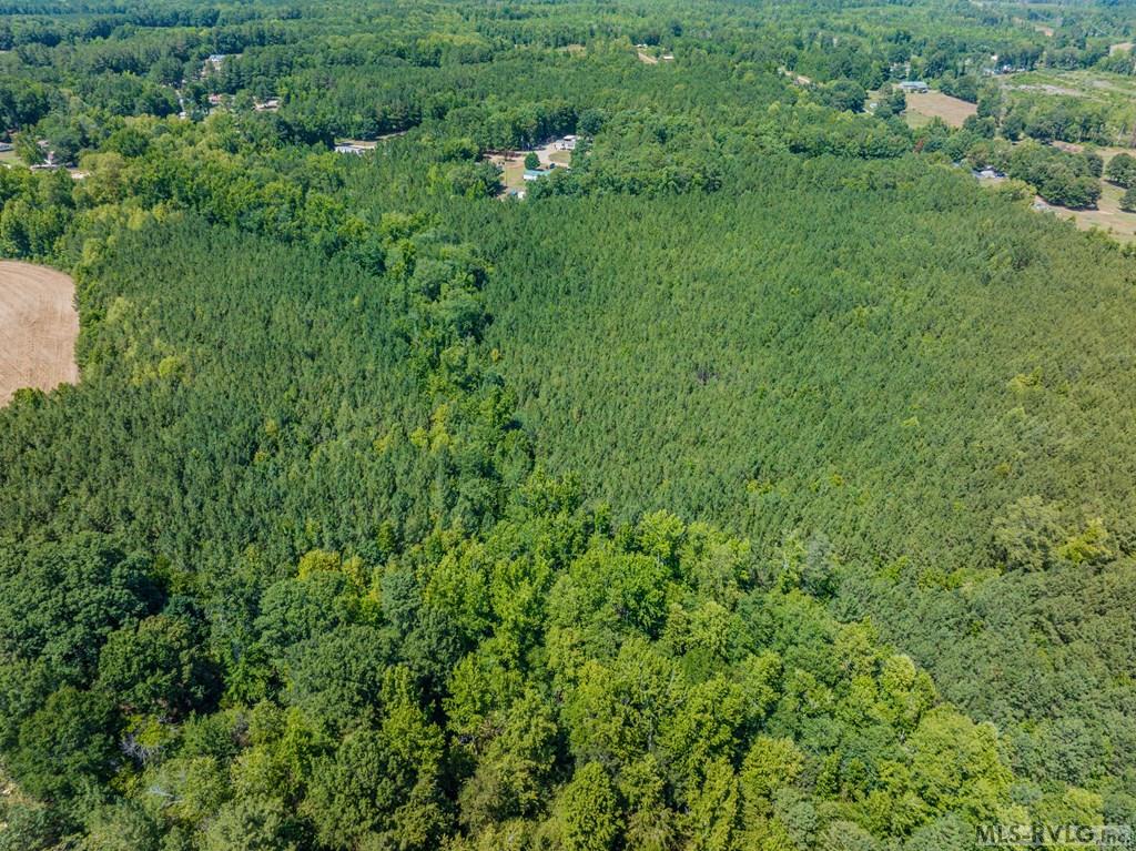Acreage at 27 Justice Branch Road, Littleton NC 27850, photo 17 of 34
