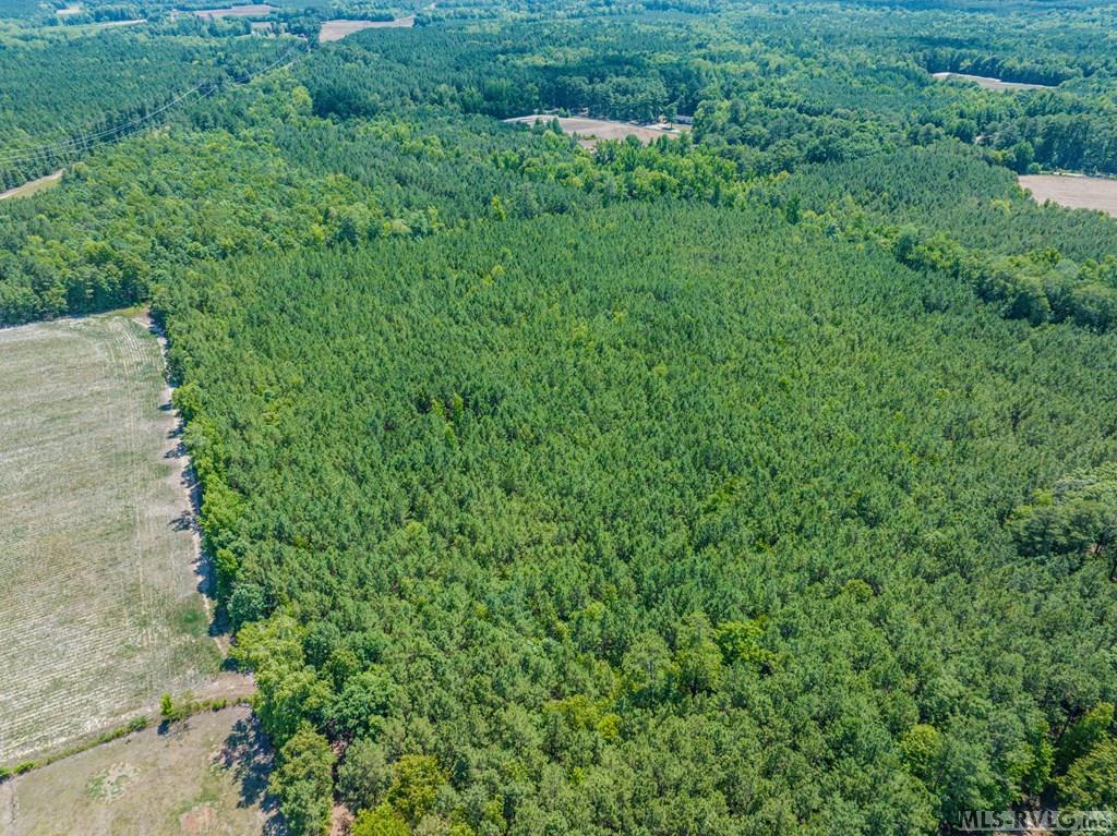 Acreage at 27 Justice Branch Road, Littleton NC 27850, photo 18 of 34