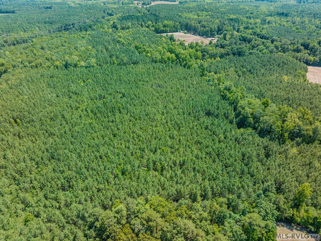 Acreage at 27 Justice Branch Road, Littleton NC 27850, photo 19 of 34