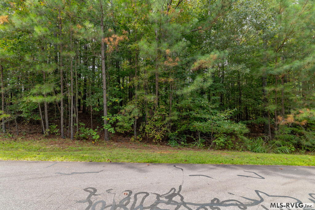 Residential Lot-Restricted at Lot 19 Waterside Dr, Henrico NC 27842, photo 4 of 4