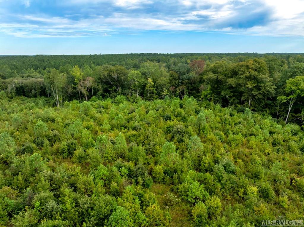 Acreage at 7 & 7A Richardson Road, Warrenton NC 27589, photo 8 of 12