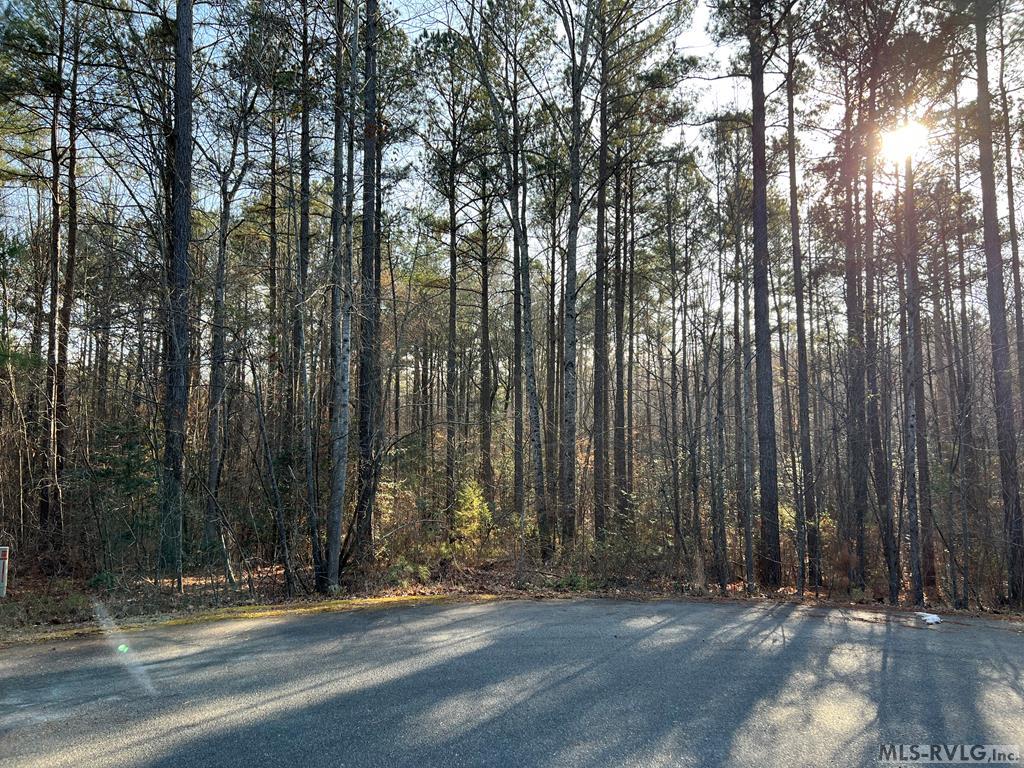 Acreage at Lot 147 Knotts Ln., Roanoke Rapids NC 27870, photo 2 of 11