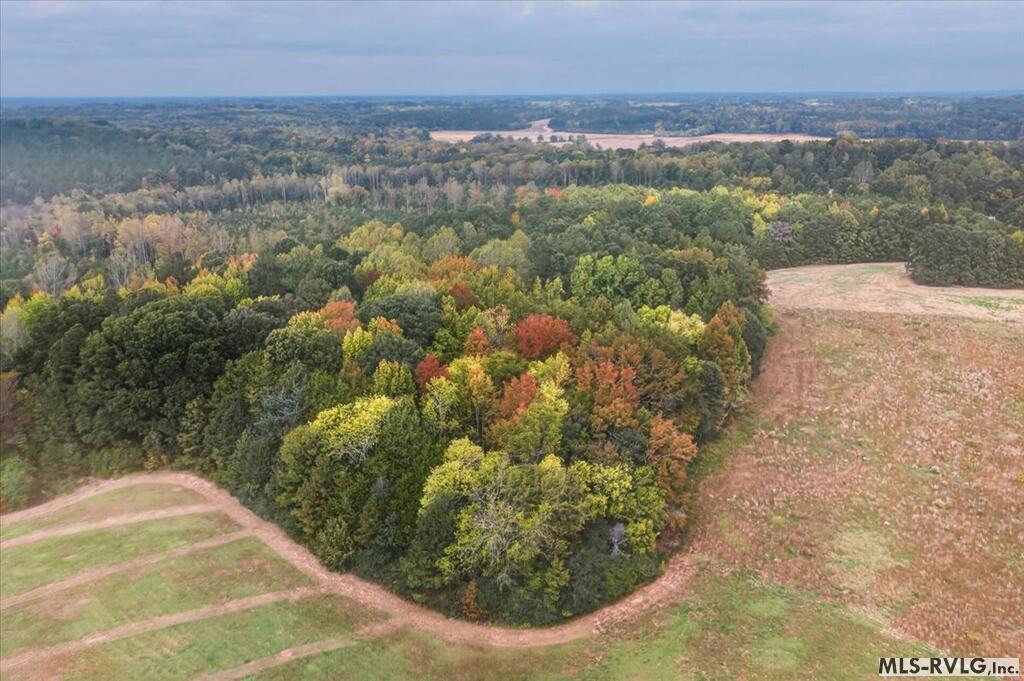 Acreage at Lot 24 Boxwood Shores, Boydton VA 23917, photo 10 of 14