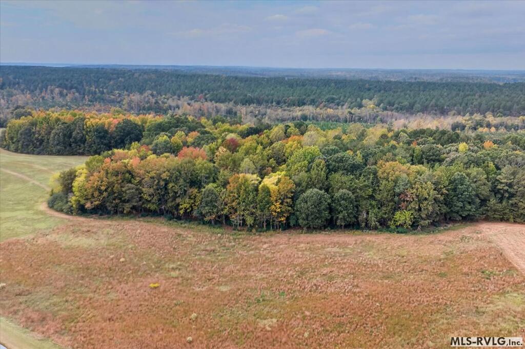 Acreage at Lot 24 Boxwood Shores, Boydton VA 23917, photo 11 of 14