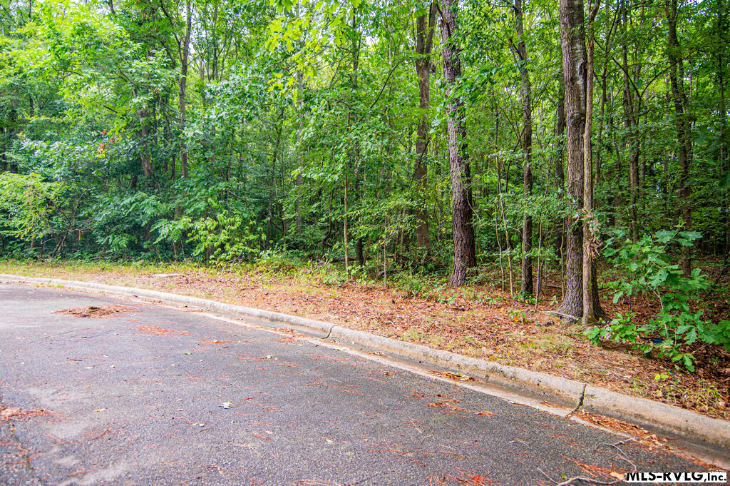 Residential Lot-Restricted at Lot # 13 Downs Brook Dr, Roanoke Rapids NC 27870, photo 3 of 9