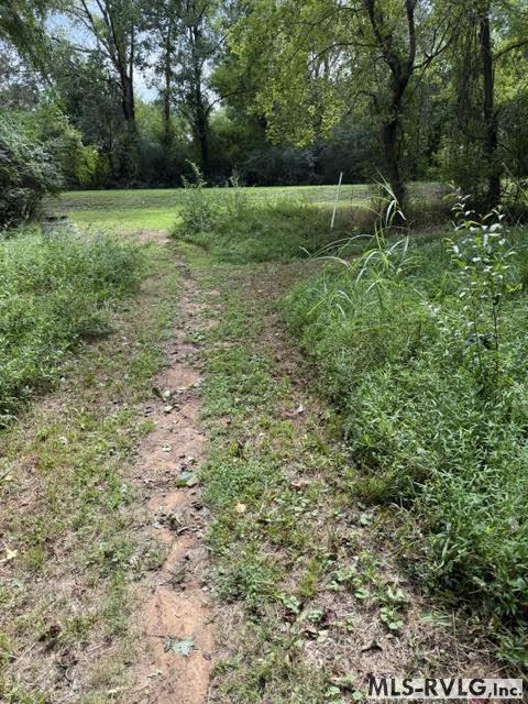 Acreage at 000 Second Ave, Lawrenceville VA 23868, photo 10 of 38