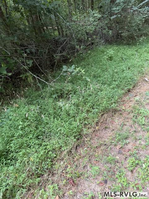 Acreage at 000 Second Ave, Lawrenceville VA 23868, photo 11 of 38