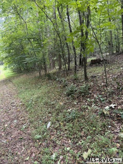 Acreage at 000 Second Ave, Lawrenceville VA 23868, photo 2 of 38