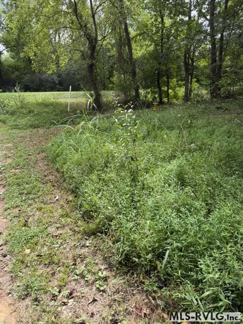 Acreage at 000 Second Ave, Lawrenceville VA 23868, photo 4 of 38