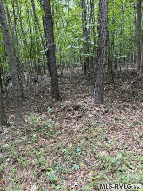 Acreage at 000 Second Ave, Lawrenceville VA 23868, photo 5 of 38
