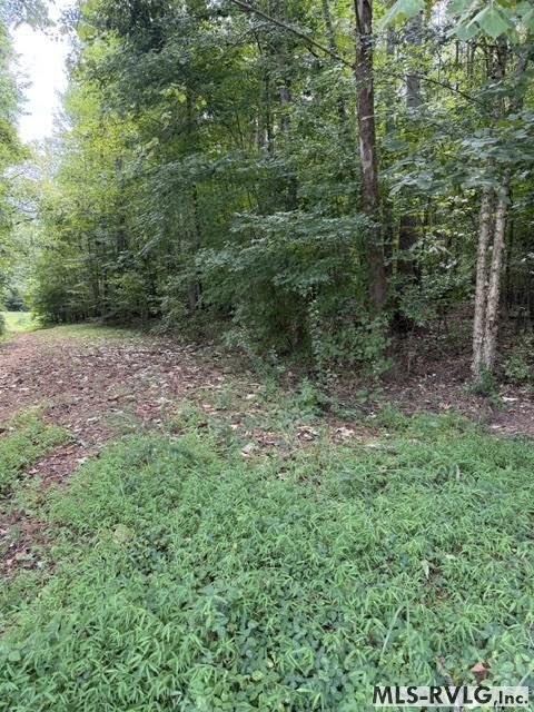 Acreage at 000 Second Ave, Lawrenceville VA 23868, photo 6 of 38