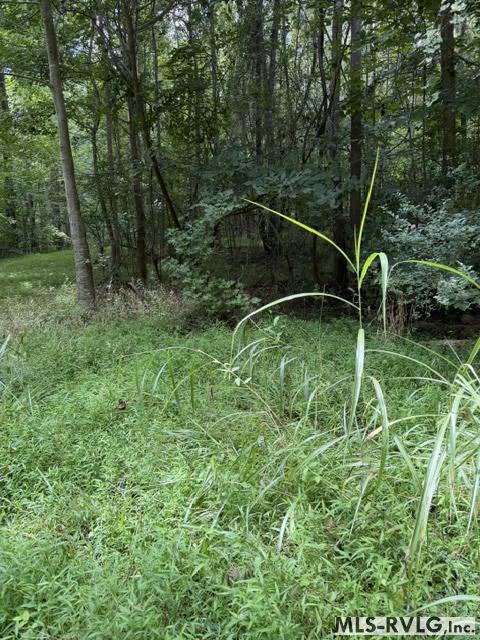 Acreage at 000 Second Ave, Lawrenceville VA 23868, photo 7 of 38
