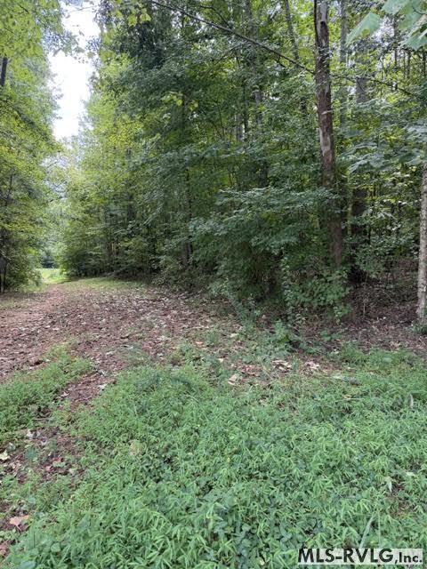 Acreage at 000 Second Ave, Lawrenceville VA 23868, photo 9 of 38