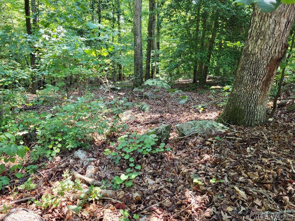0 Weanock Lane, Ebony VA 23845