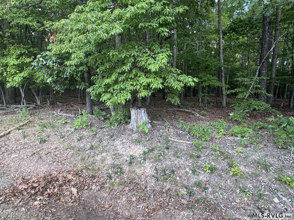 Other-See Remarks at Lot 1B Mill Creek Road, Clarksville VA 23927, photo 13 of 21