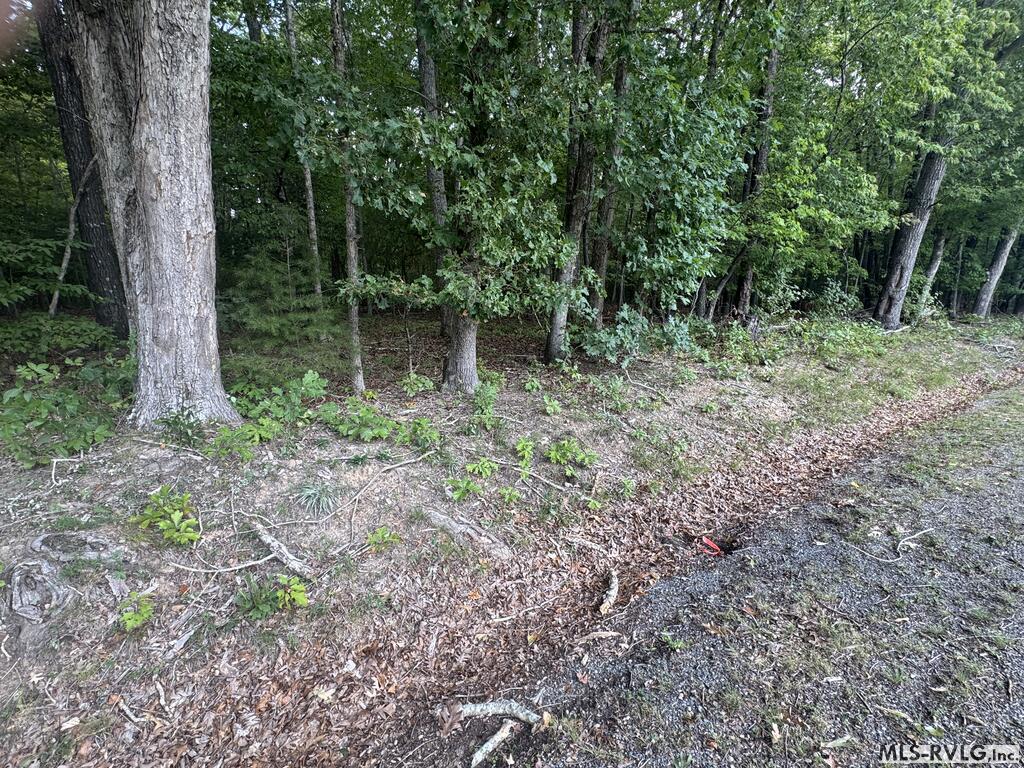 Other-See Remarks at Lot 1B Mill Creek Road, Clarksville VA 23927, photo 15 of 21