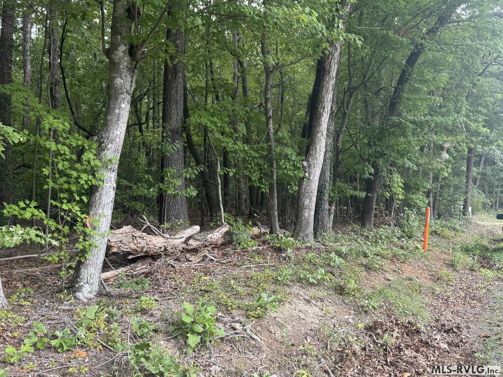 Other-See Remarks at Lot 1B Mill Creek Road, Clarksville VA 23927, photo 16 of 21
