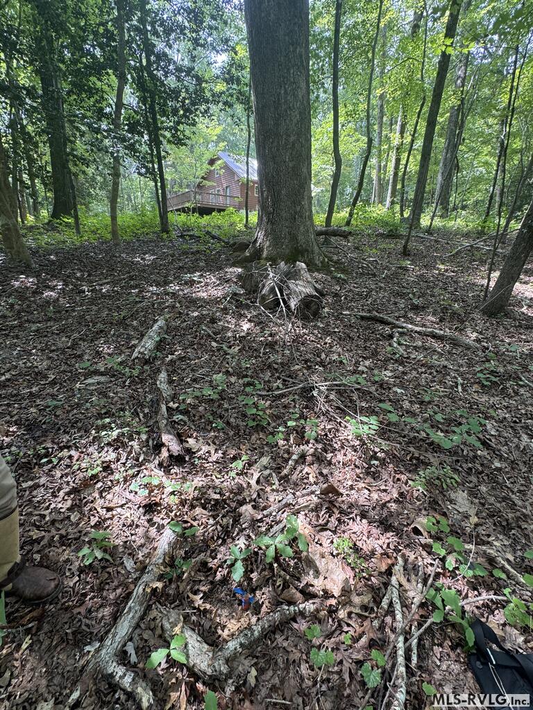 Other-See Remarks at Lot 1B Mill Creek Road, Clarksville VA 23927, photo 18 of 21