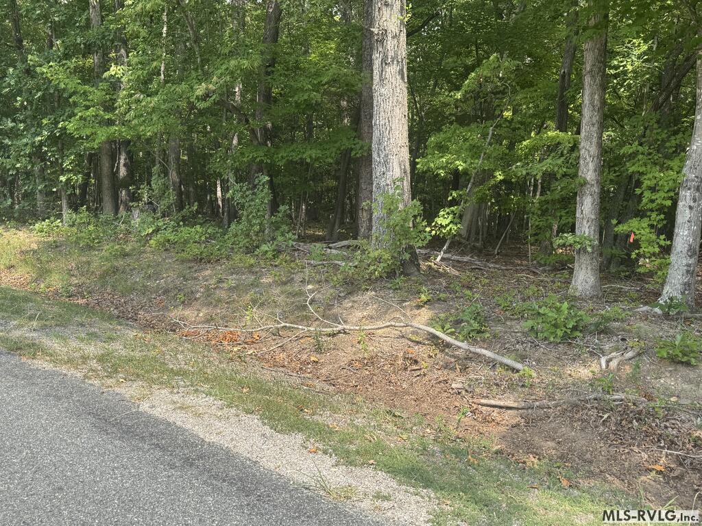 Other-See Remarks at Lot 1B Mill Creek Road, Clarksville VA 23927, photo 9 of 21