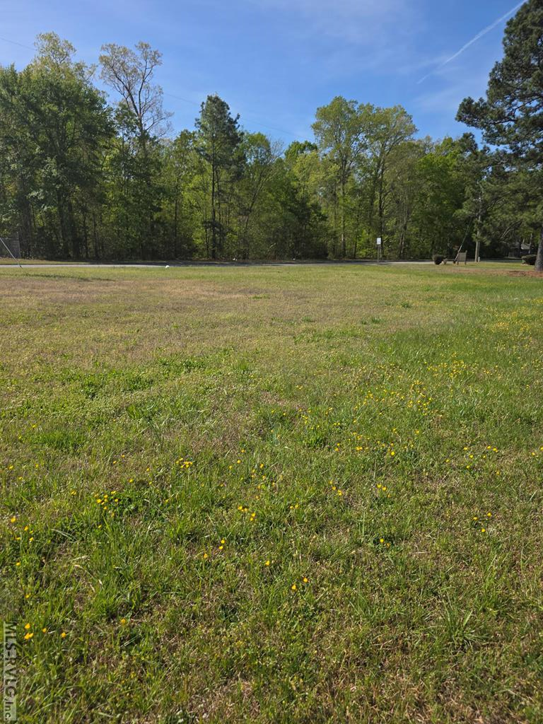 Lot #2 Georgia Ave, Roanoke Rapids NC 27870
